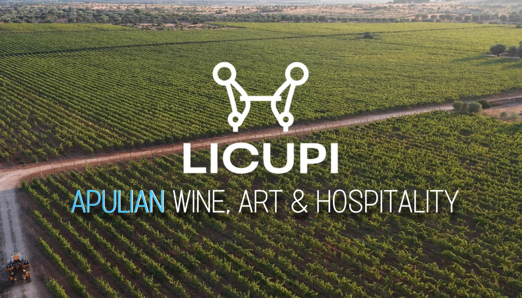 Tenuta Licupi - CHI SIAMO?